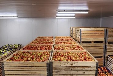 Apple Stacked Crates