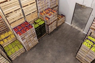 Apple Pears Interior
